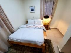 2BEDROOM FULLY FURNISHED HOUSE FOR RENT IN NJIRO,ARUSHA