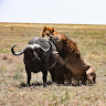 Marketing Africa