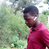 shilingo shelembi