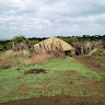 olobikoo mollel