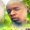 steven onnis
