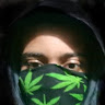 Habib Dully