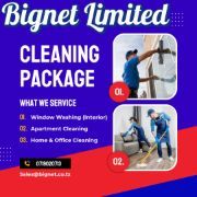 Sales marketing bignate Dodoma