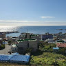 허병대