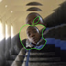 christopher zulu