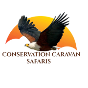 Conservation Caravan Safaris