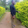 James tesha