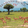 Habari bure Tv