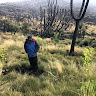 Henry Ndangalasi